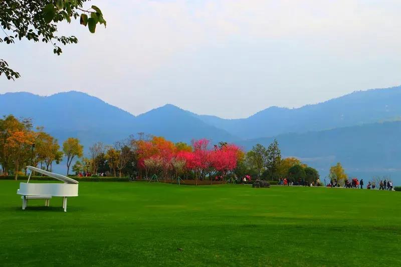 16178534978347.jpg 16178534978347.jpg