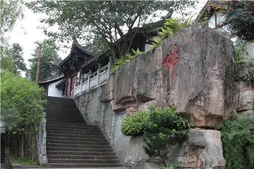 16178538345488.jpg 16178538345488.jpg