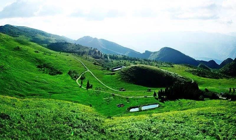 16178534737831.jpg 16178534737831.jpg