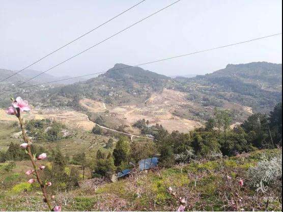 16178542558538.jpg 16178542558538.jpg